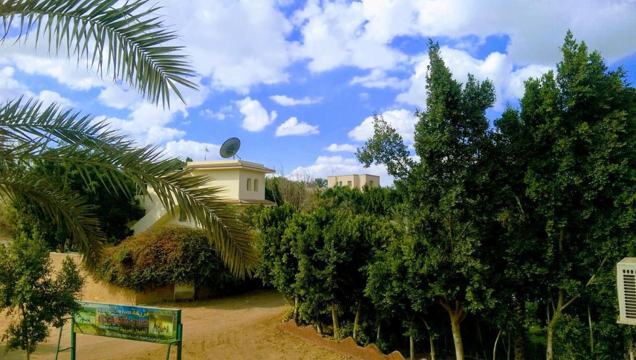 The Farm - Hotel & Horse Riding Κάιρο Εξωτερικό φωτογραφία