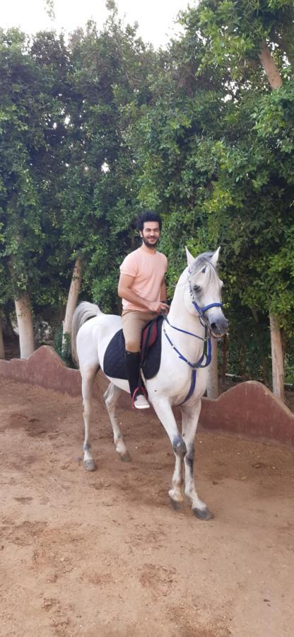 The Farm - Hotel & Horse Riding Κάιρο Εξωτερικό φωτογραφία