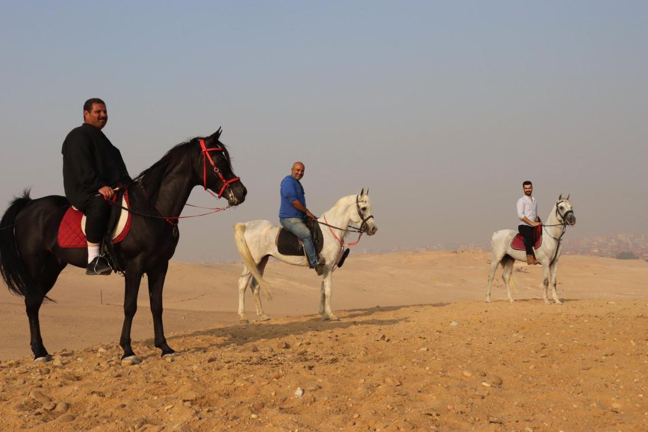 The Farm - Hotel & Horse Riding Κάιρο Εξωτερικό φωτογραφία