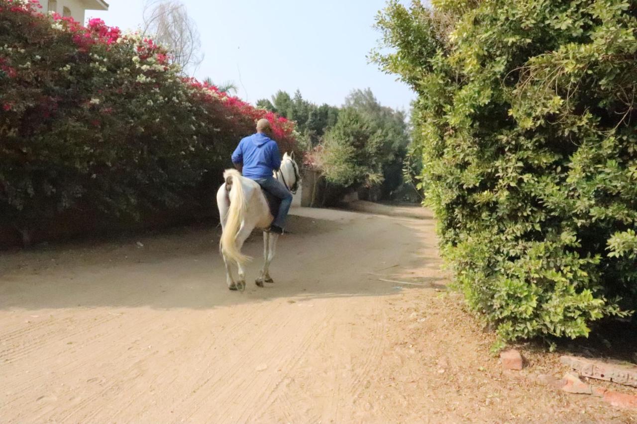 The Farm - Hotel & Horse Riding Κάιρο Εξωτερικό φωτογραφία